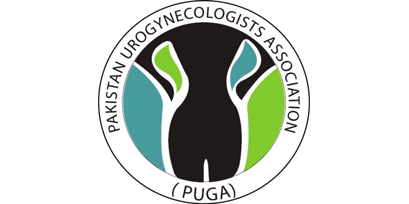 PMS Logo-01 (800x400)